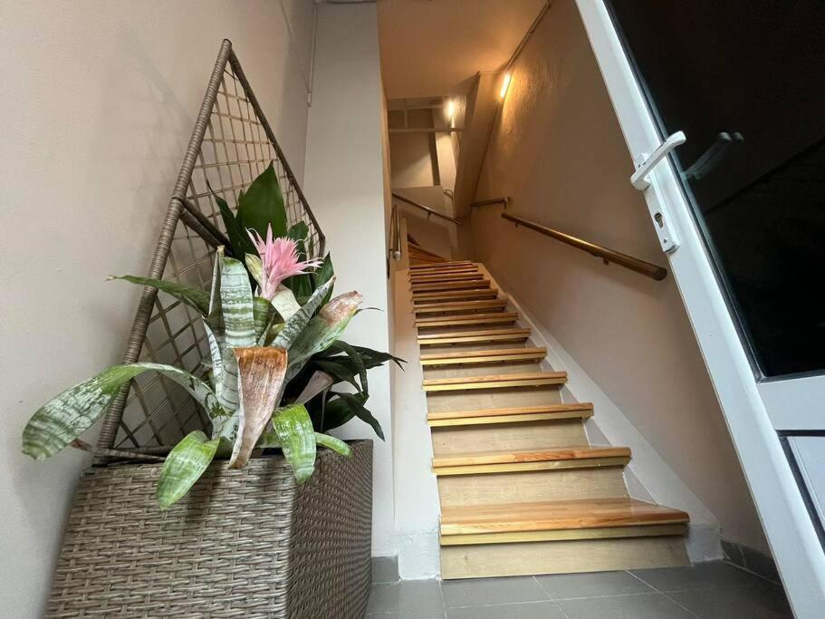 Cozy Studio In Alexandroupolis エクステリア 写真